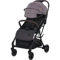 Lorelli Kinderwagen Buggy Minori faltbar