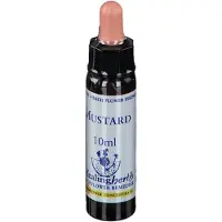 Healing Herbs Bachblüten Mustard Healing Herbs Tropfen 10 ml