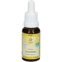 Lemon Pharma Bachblüten No.21 Mustard Bio 20 ml Tropfen