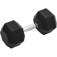vidaXL Kurzhantel 25 kg Gusseisen