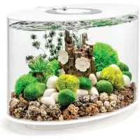 Oase Loop 15 Aquarium met standaardlicht - 4 gallon, wit zonder afstandsbediening