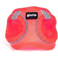 Gloria Air Mesh Trek Star Hundegeschirr S S