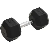 vidaXL Kurzhantel 20 kg Gusseisen