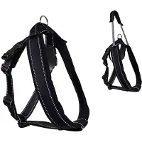 PatentoPet Geschirr Sport mit integrierter Leine M 58-76 cm schwarz