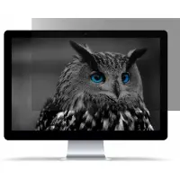Natec NFP-1475 Natec Privacy filter GDPR OWL 15.6, 16: 9