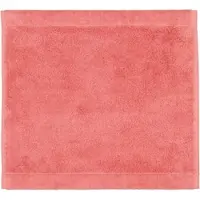 Cawö Gesichtshandtuch Lifestyle Uni Coral (6er Set)