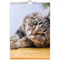 Comello Katzenfoto Geburtstagskalender A4
