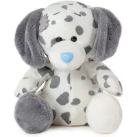 Me to You Casey, das dalmatinische Maskottchen