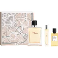 Hermès Paris Terre D'EDT 100 ml + EDT 15 ml + SG für Haut und Haar 40 ml (man)