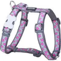 Big Buy Cooking Hundegeschirr Rot Dingo On Cool 25-39 cm Grau Rosa