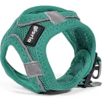 Big Buy Cooking Geschirr für Perro Gloria Trek Star 33,4-35 cm 51-52 cm Türkis L