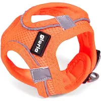 Gloria Air Mesh Trek Star Hundegeschirr Orange S Orange S