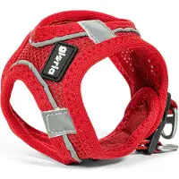 Big Buy Cooking Gloria Trek Star Hundegeschirr 24-26 cm 28-28,6 cm Rot XXS