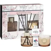 Maison Berger Bolero Magnolia Liliflora Aroma Diffusor Geschenkset 80ml + Kerze 80g