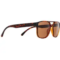 Red Bull Spect Eyewear ELROY (004P) Sonn