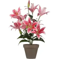Mica Decorations Mica Kunstpflanze Tigerlilie fuchsie 47 x 45 cm GLO660754704