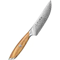 HEZHEN - Damast-Steakmesser - X01 Flaggschiff-Serie