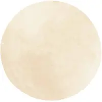 vidaXL Teppich HUARTE Kurzflor Weich und Waschbar Creme Ø 100 cm