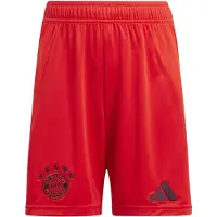 Adidas Kinder Teamhose FC Bayern München 24/25 Kids Heim