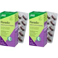Salus Floradix Eisen plus B-Vitamine Doppelpack 2x40 St Kapseln