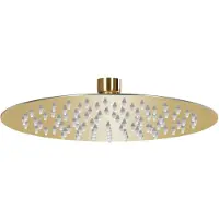 vidaXL Regenbrause Edelstahl 20 cm Rund Golden