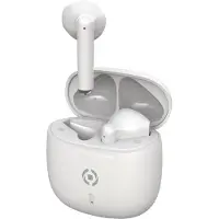 Celly BUZ2, True Wireless Stereo (TWS), Anrufe/Musik, 20 - 20000 Hz, 42 g, Kopfhörer, Weiß