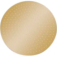 The Living Store Regenbrause Edelstahl 40 cm Rund Golden