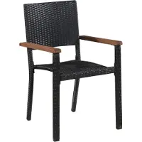 The Living Store Gartenstühle 2 Stk. Poly-Rattan Schwarz