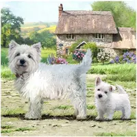 Craft Buddy Crystal Art Card Westie 18x18cm