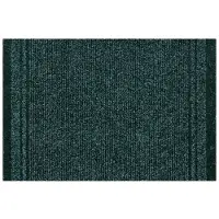 Rugsx Fußabtreter MALAGA grün 6059 66x530 cm