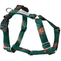 Amiplay Guard BeHappy XL verstellbares Geschirr Jungle