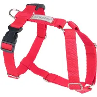 Amiplay Guard Samba XL verstellbarer Gurt Rot