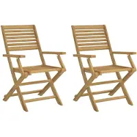 vidaXL Gartenstühle 2 Stk. Klappbar 54,5x61,5x86,5cm Massivholz Akazie