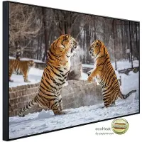 Papermoon Infrarotheizung »EcoHeat - Kampf gegen Sibirische Tiger«, Matt-Effekt - bunt