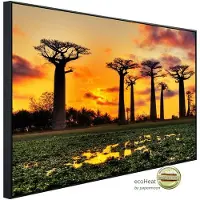 Papermoon Infrarotheizung »EcoHeat - Baobabs Bäume Afrik. Sonnenuntergang«, Matt-Effekt - bunt