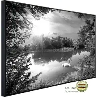 Papermoon Infrarotheizung »EcoHeat - Landschaft mit Schwan«, Matt-Effekt - bunt