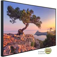 Papermoon Infrarotheizung »EcoHeat - Erstaunlicher Baum auf d. Felsen«, Matt-Effekt - bunt