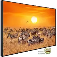 Papermoon Infrarotheizung »EcoHeat - Afrikanische Antilopen und Zebras«, Matt-Effekt - bunt