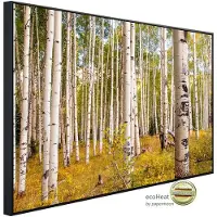Papermoon Infrarotheizung »EcoHeat - Birken in Colorado Rocky Mountain«, Matt-Effekt - bunt