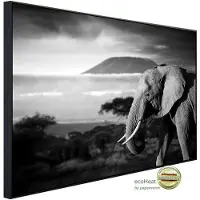 Papermoon Infrarotheizung »EcoHeat - Elefant mit Landschaft«, Matt-Effekt - bunt