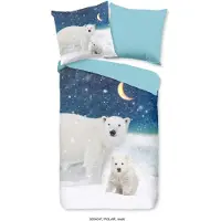 Muller Textil Good Morning Kinderbettwäsche "Polar" - Multi - (140x220 cm) - 100 % Baumwolle