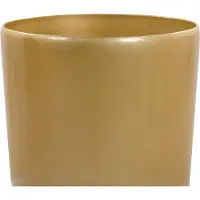 Beliani Tseria