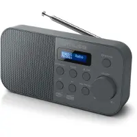 Muse M-109 Db Weckerradio