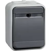 ELSO Schneider Electric Taster 442129 10A AquaTop licht/basaltgrau