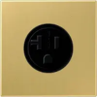 JUNG Steckdose 1f ms mt LS UP IP20 ZP NEMA ME2521-20C