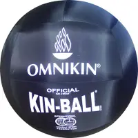 Omnikin Kin Ball "Official", Schwarz