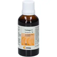 Kattwiga Synergon Komplex 1b Crataegus S Tropfen 50 ml
