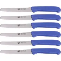 Gräwe Gemüsemesser 906.06 C5, Set, 11 cm Edelstahlklinge, Kunststoffgriff, 6 Stück