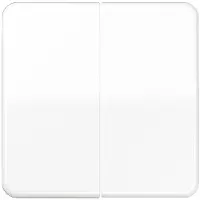 JUNG Wippe aws für Schalter/Taster CD 595 BF WW