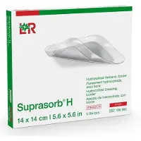Suprasorb H Hydrokoll.Verb.border 14x14 cm 5 St Verband